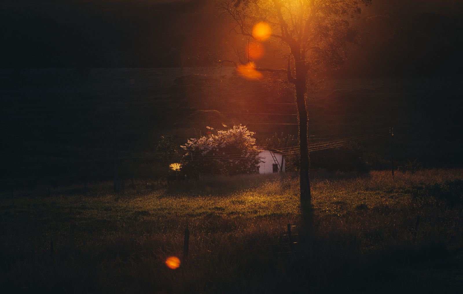 A peaceful small farm in warm evening light